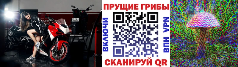 Галлюциногенные грибы Cubensis ОМГ ОМГ рабочий сайт Гдов наркотики